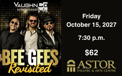 Bee Gees Revisited