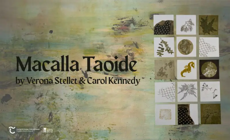 ‘Macalla Taoide’ – An Exhibition by Verona Stellet and Carol Kennedy à Nenagh Arts Centre