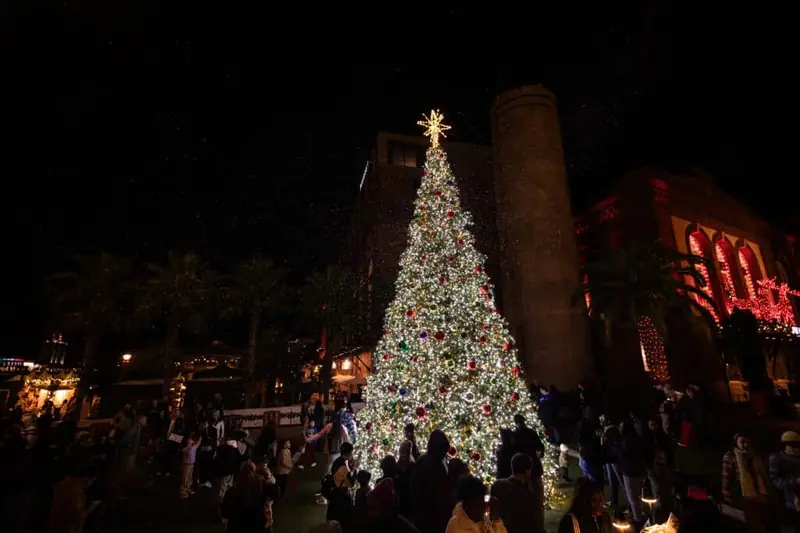 Christmas Tree Lighting Ceremony