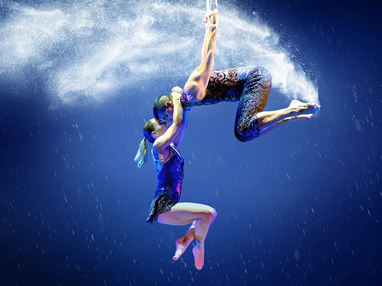 Cirque Dreams Holidaze