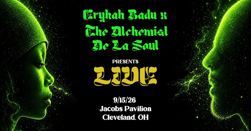 Erykah Badu à Jacobs Pavilion
