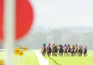 Cork Racecourse Mallow en Mallow, MUN