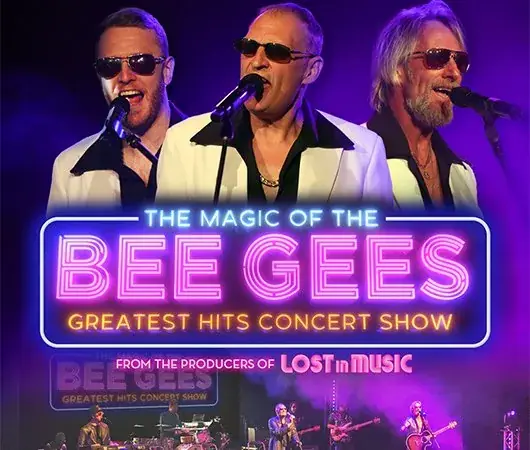 The Magic Of The Bee Gees