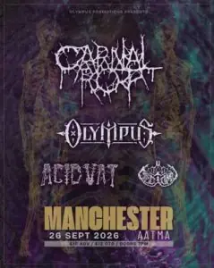 Carnal Rot