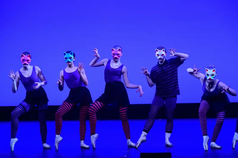 A Panto in Wonderland at Confederation Centre of the Arts
