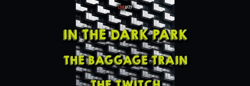 In The Dark Park