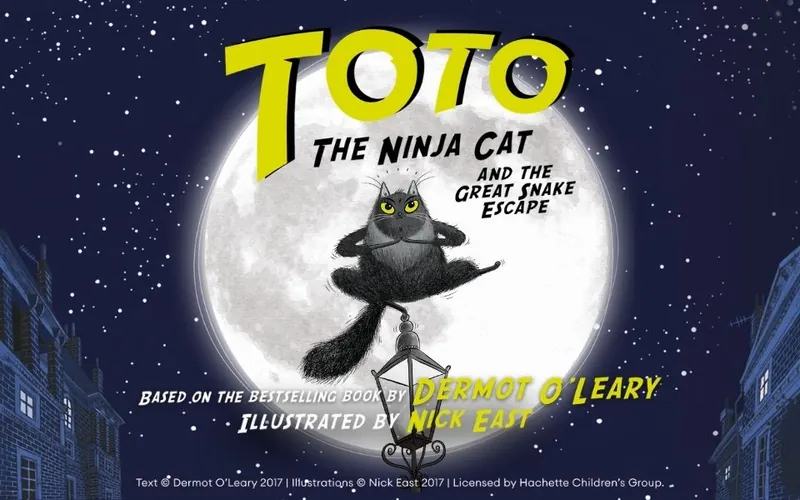 Toto the Ninja Cat