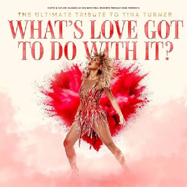 What's Love Got To Do