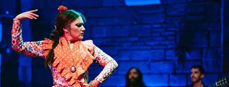 Espectáculo Flamenco en Baraka Flamenco Show