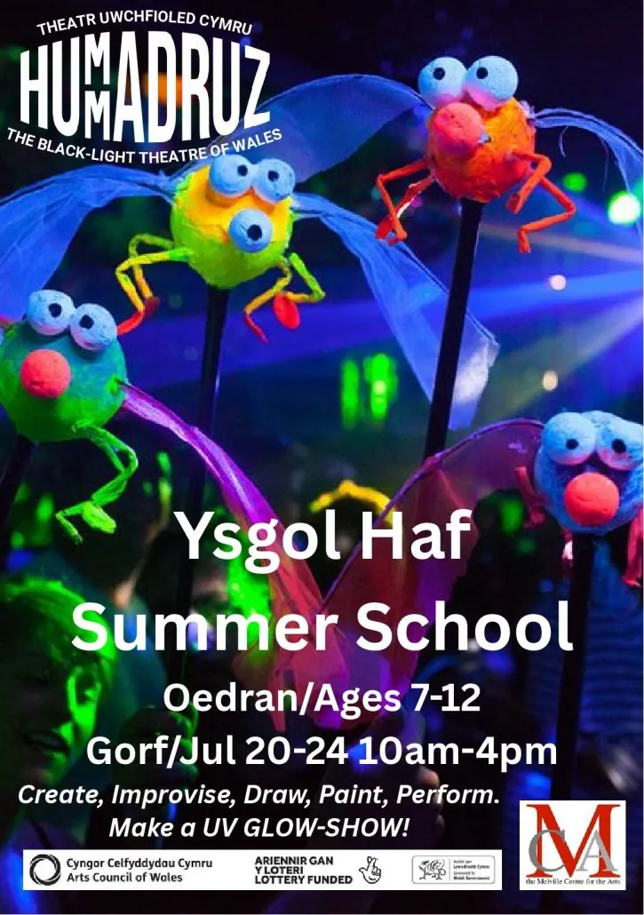 Create a Glow Show – Ysgol Haf / Summer School