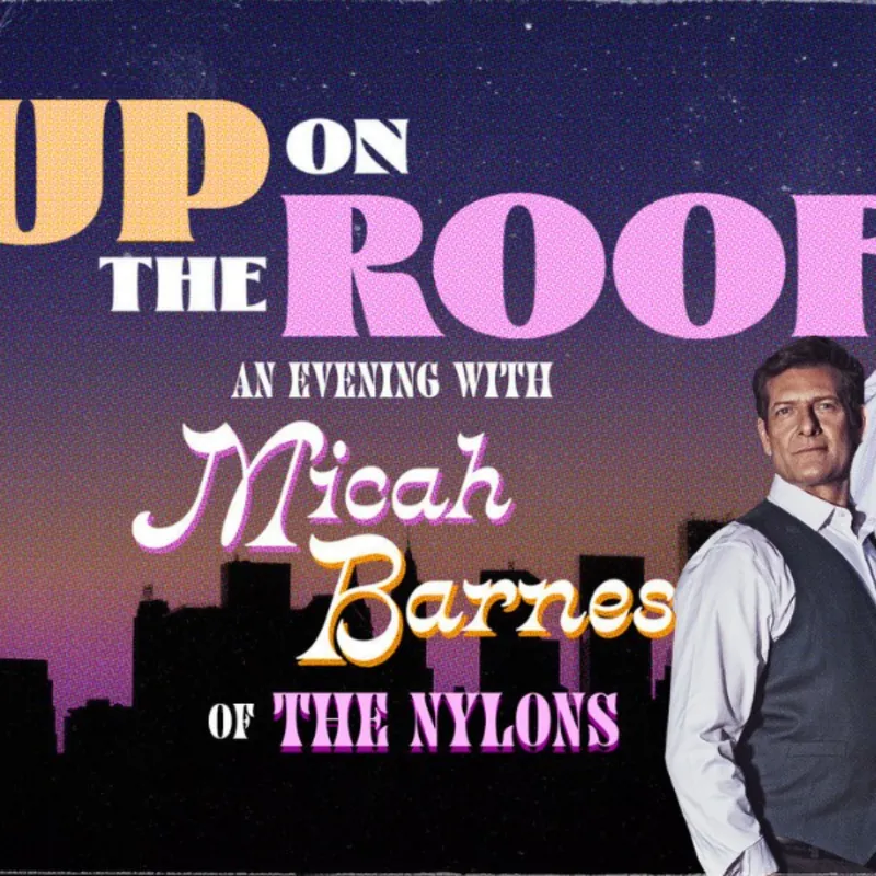 Micah Barnes Up On the Roof
