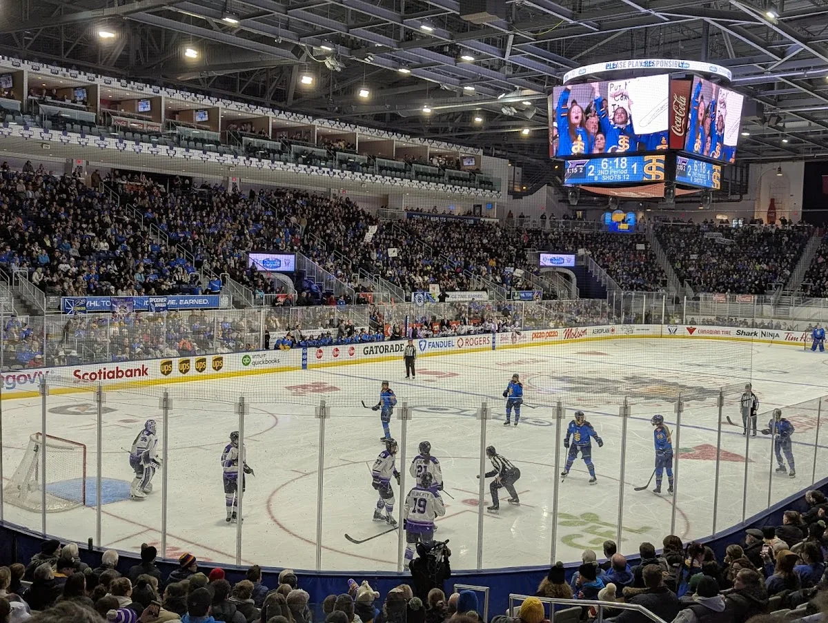 Coca-Cola Coliseum in Toronto, ON