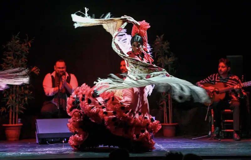 Flamenco Show à Flamenco Laietana