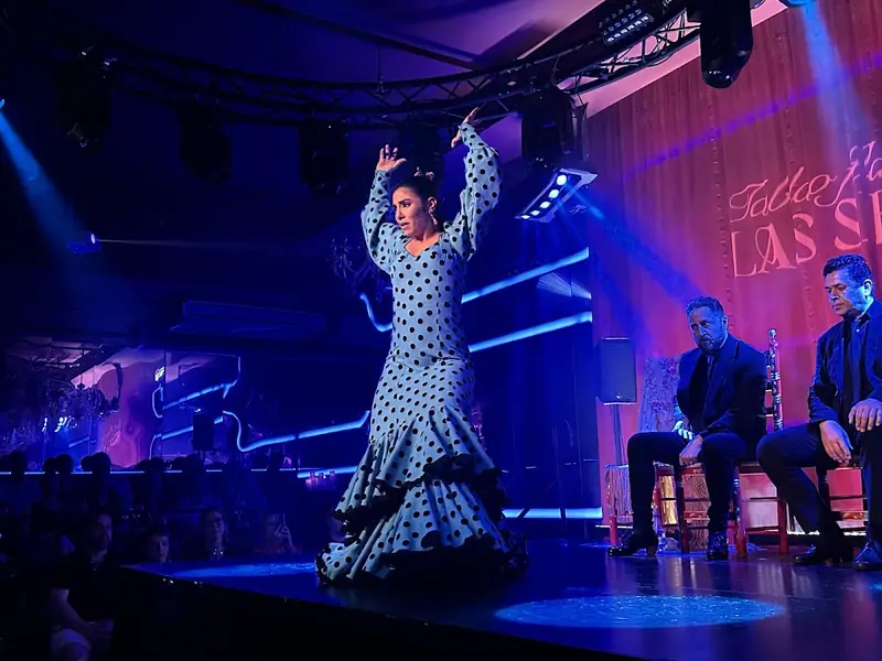 Flamenco Show at Flamenco Show in Seville | Tablao Flamenco en Sevilla