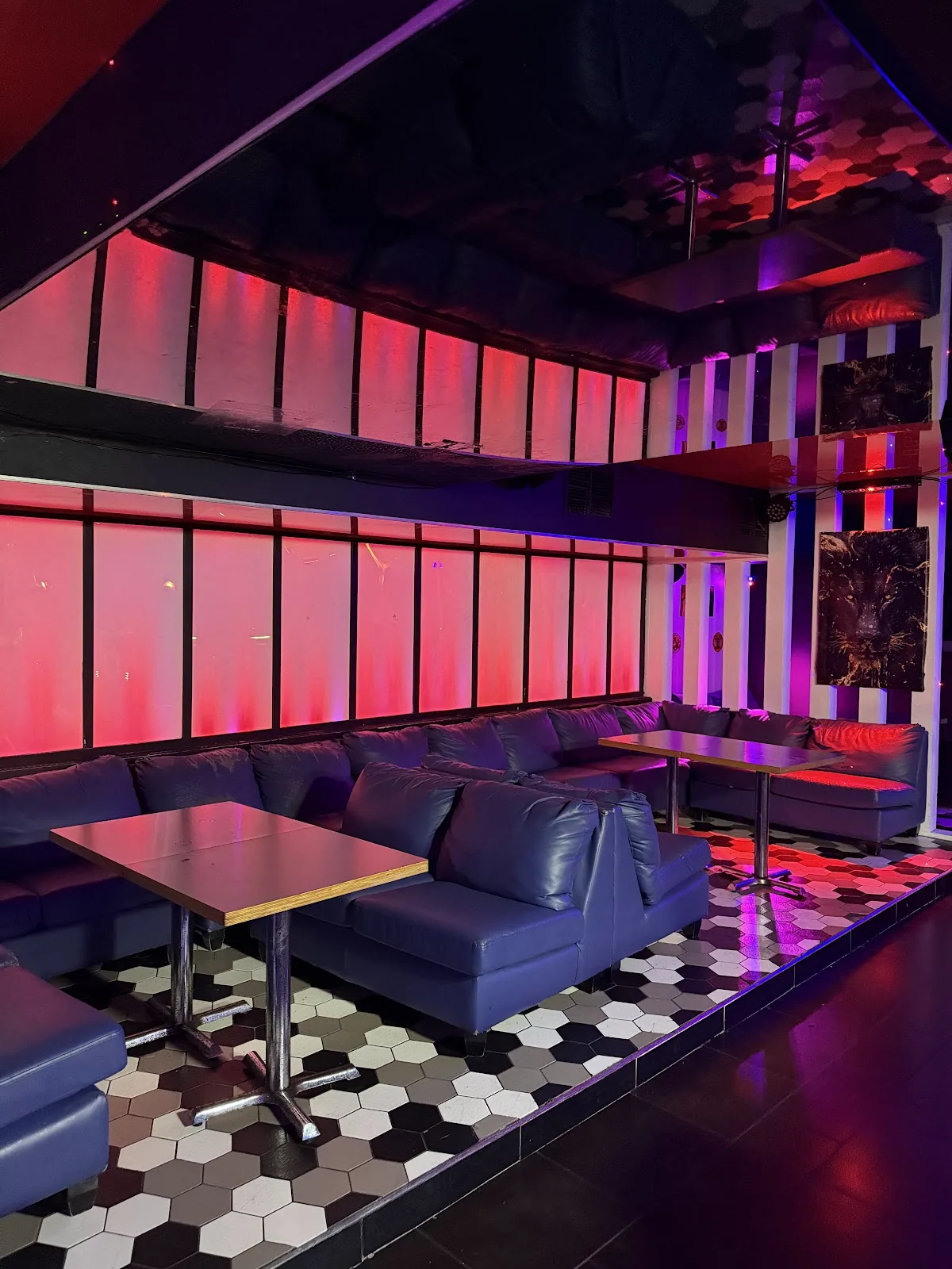 NUVO Lounge 295 in Ottawa, ON