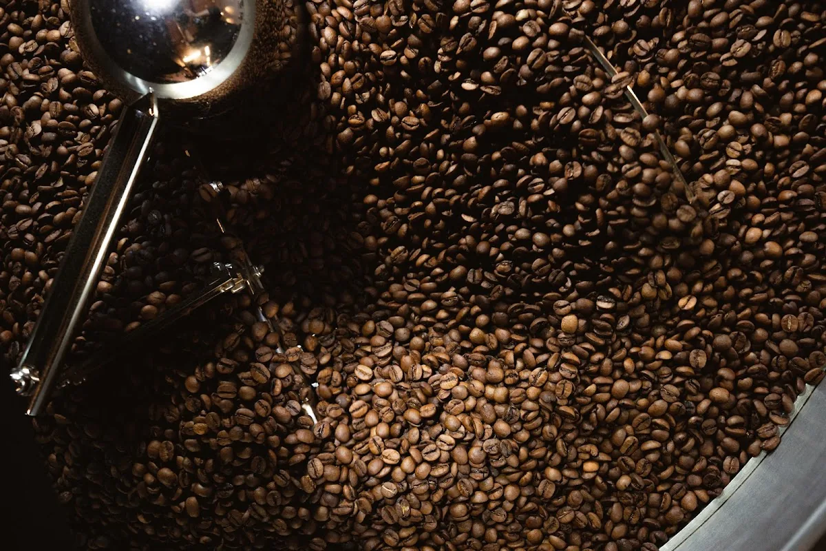 Ethica Coffee Roasters in Toronto, ON