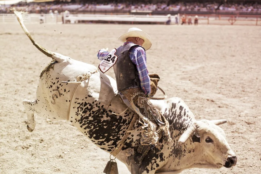 Cheyenne Frontier Days in Cheyenne, WY