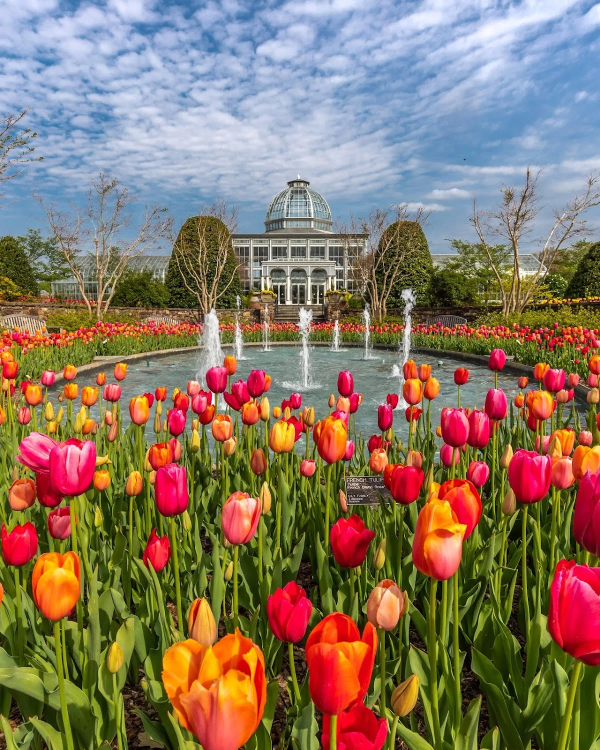 Lewis Ginter Botanical Gardens in Richmond, VA