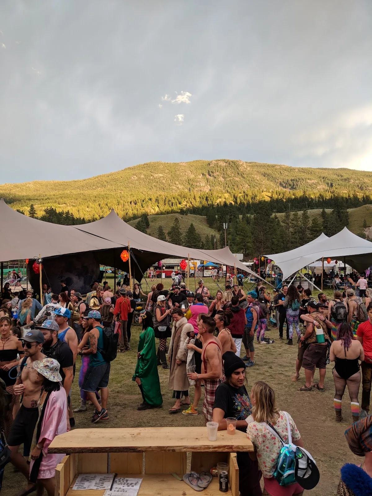 Bass Coast Festival in Merritt, BC