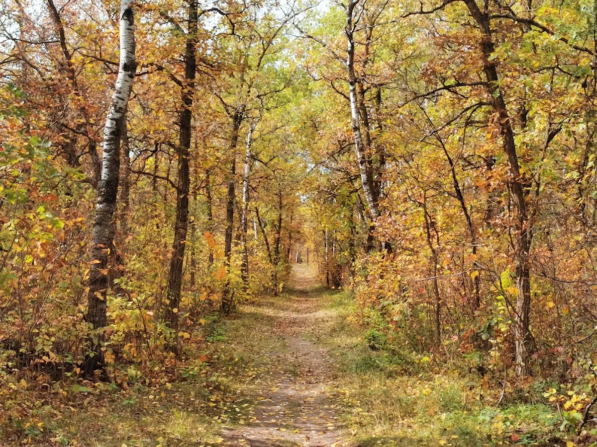 Birds Hill Provincial Park à Winnipeg, MB