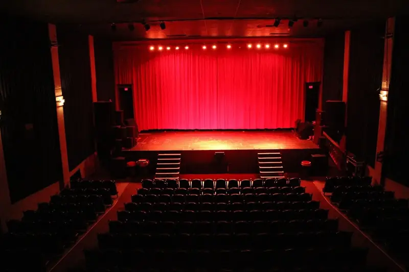 Bassem Youssef at Rio Theatre