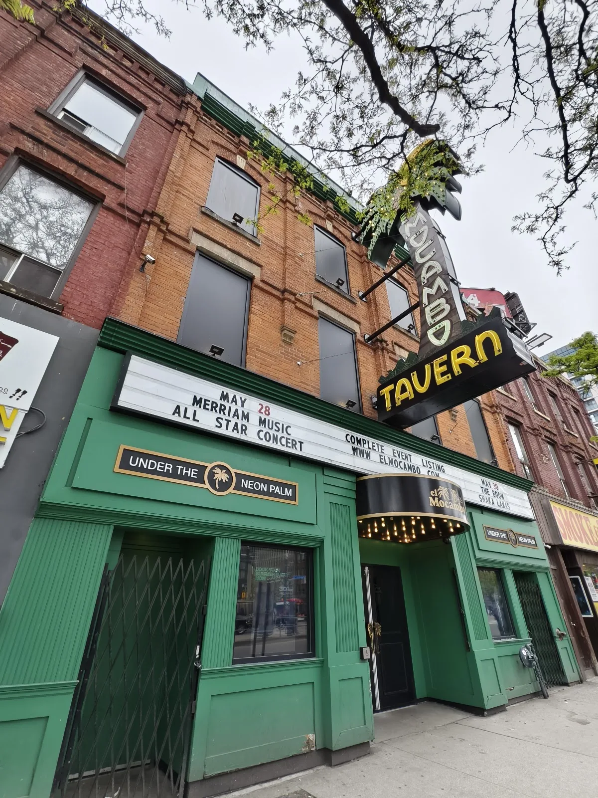 Under the Neon Palms at the El Mocambo in Toronto, ON